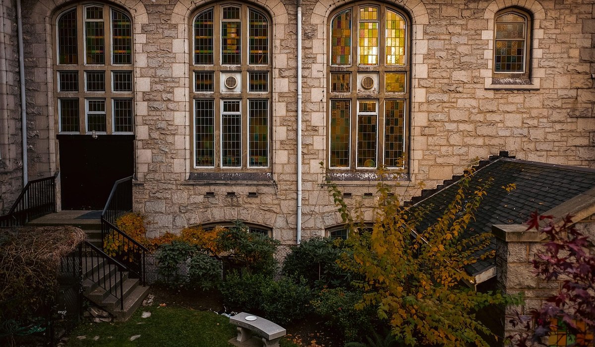 How to Choose the Right Cedar for Garden Screens